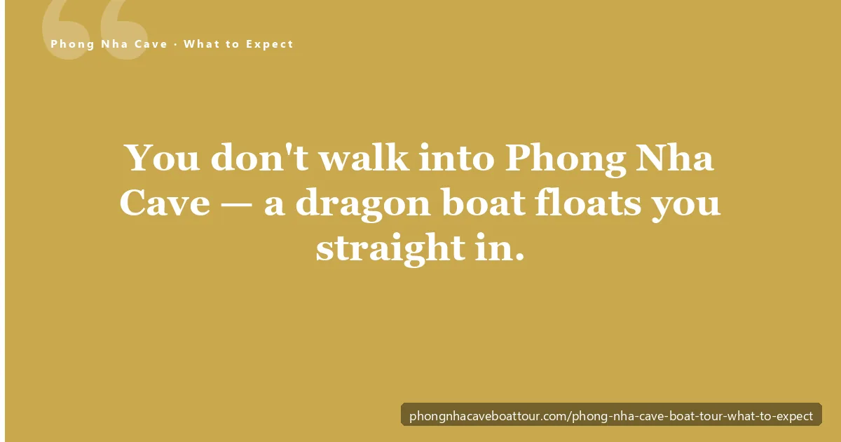 Phong Nha Cave boat tour — a wooden dragon boat gliding under the rock arch into the floodlit river cave on the Son River, Vietnam